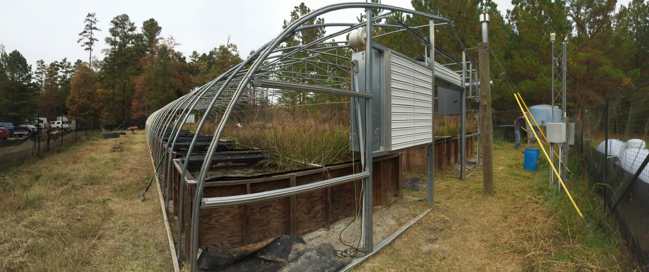 We keep the mesocosms open to the elements 9 months out of the year, but we covered heat them during the winter months.